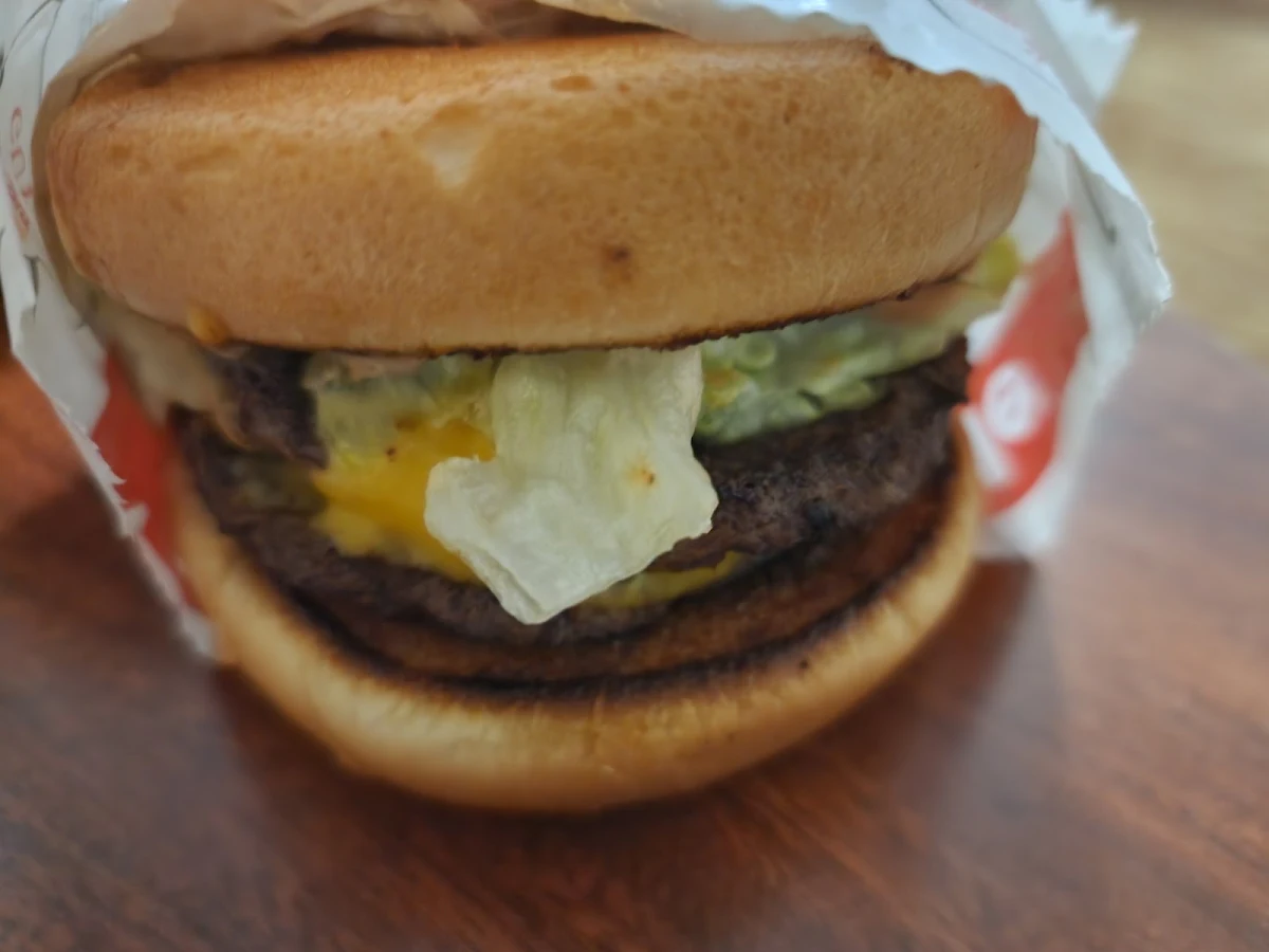 Double Double Cheeseburger with Fries