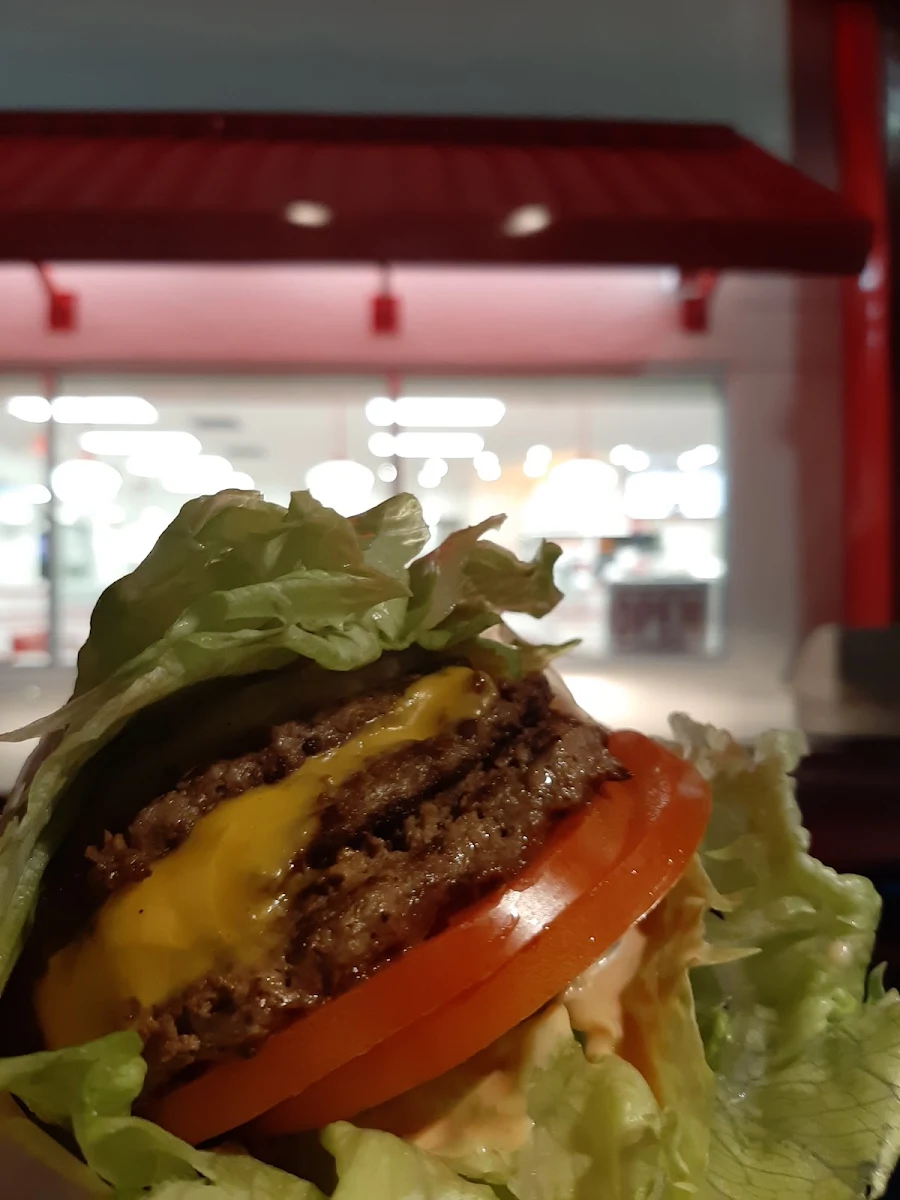 Protein Burger