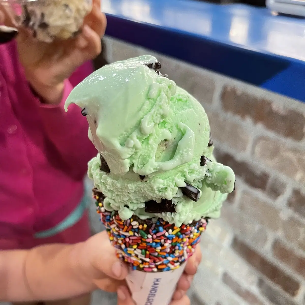 Mint Chocolate Chip