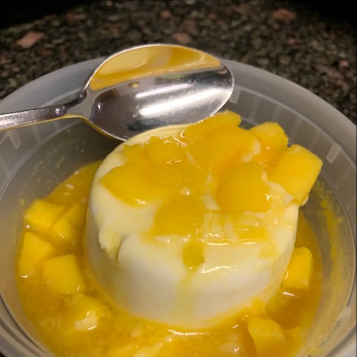 Mango Pana Cotta