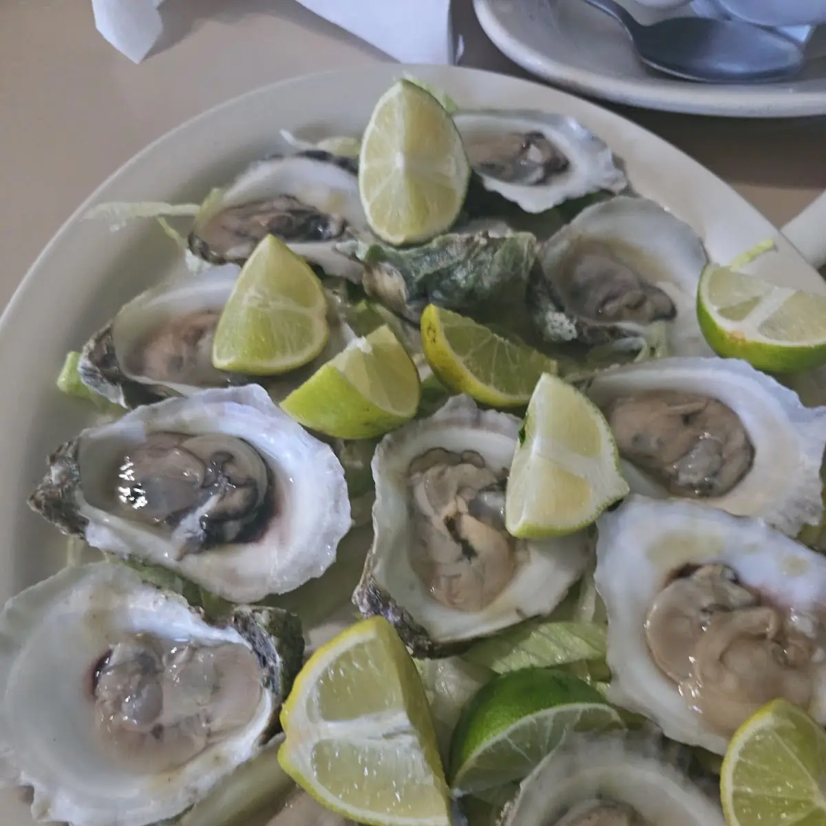 Ostiones en su Concha / Oysters on Half Shell