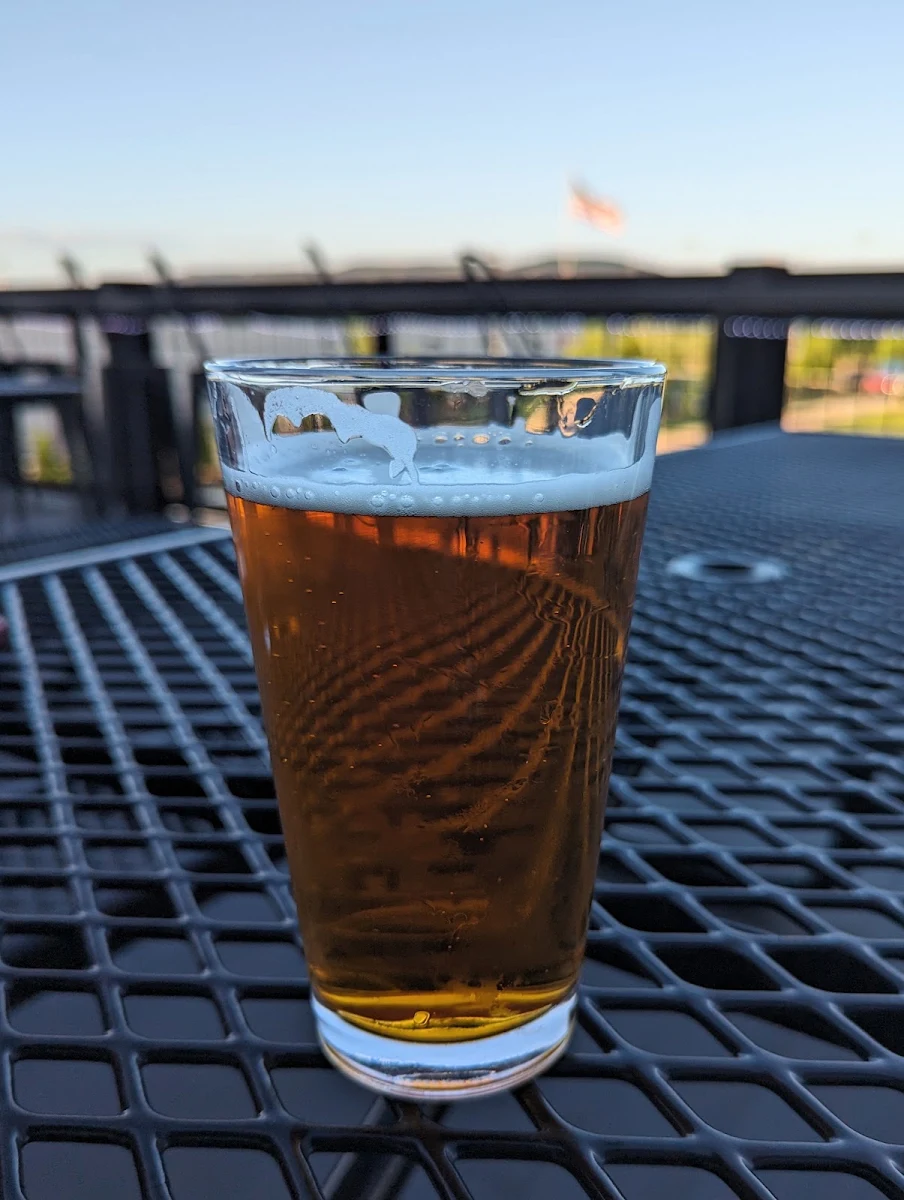 West Coast IPA