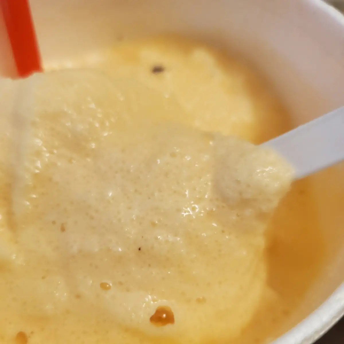 Orange Slush with Vanilla Ice Cream