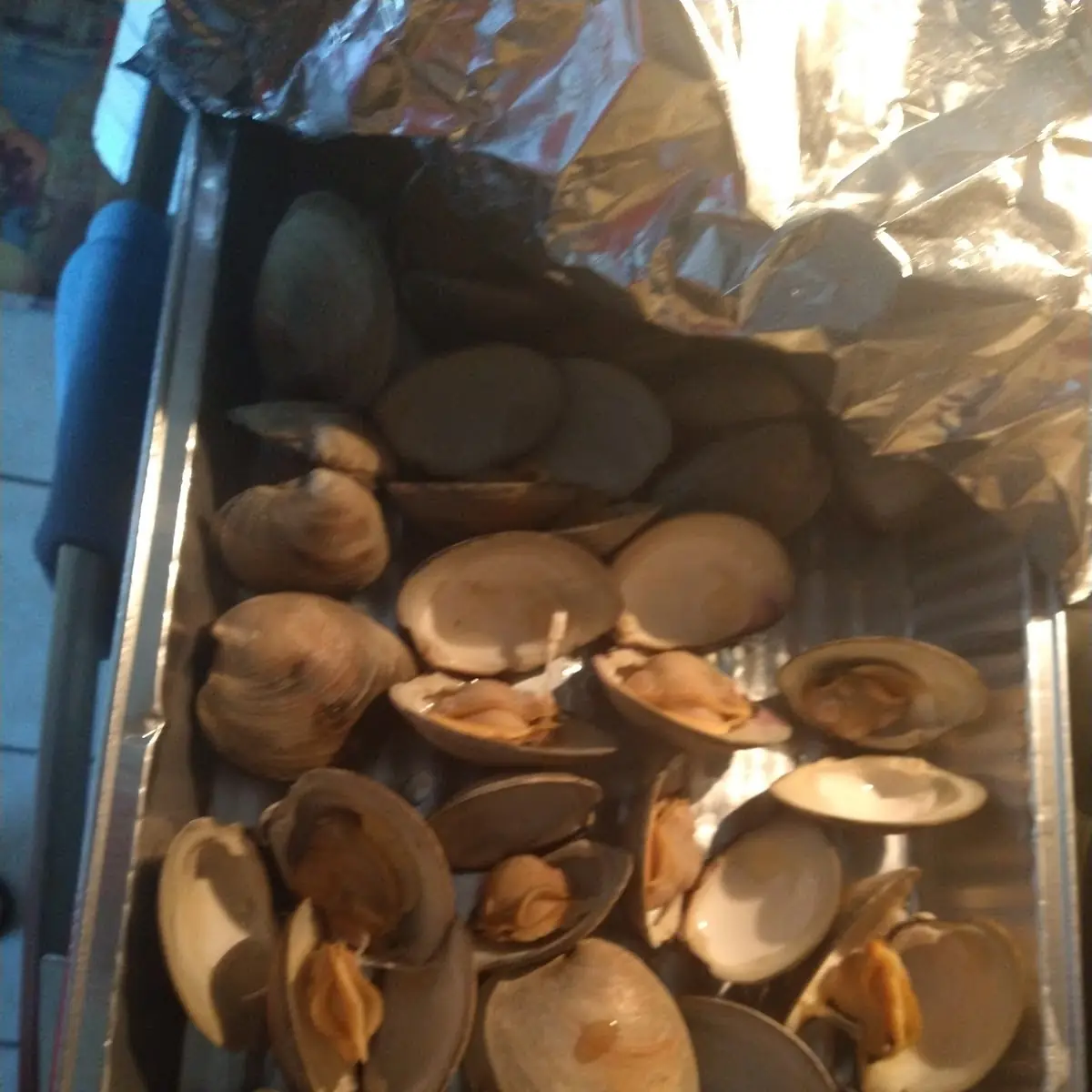Clams on Half Shell 1 2 DZ