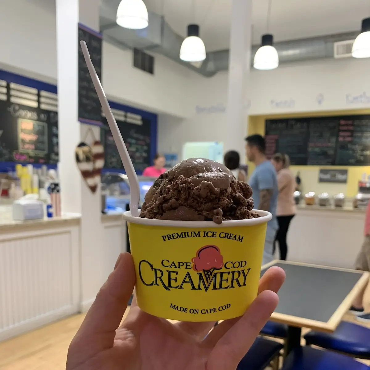 Coffee and Chocolate Ice Cream