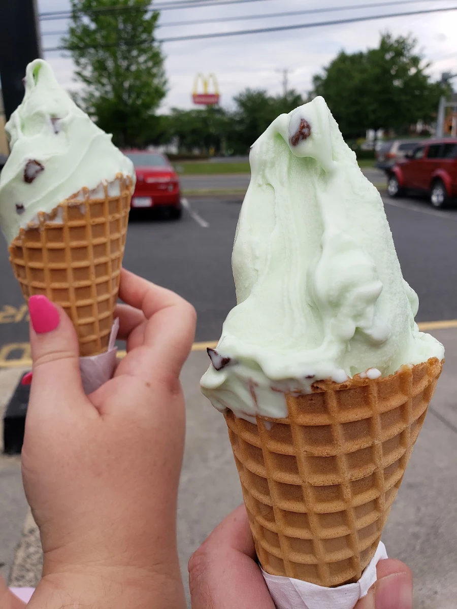 Frozen Custard Mint Chocolate Chip in a Waffle Cone