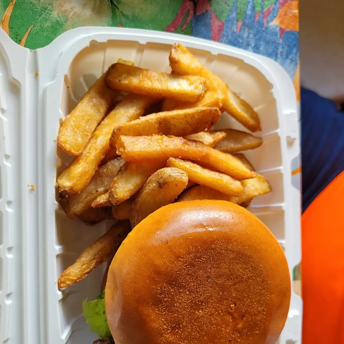 Bobbie Burger with Fries