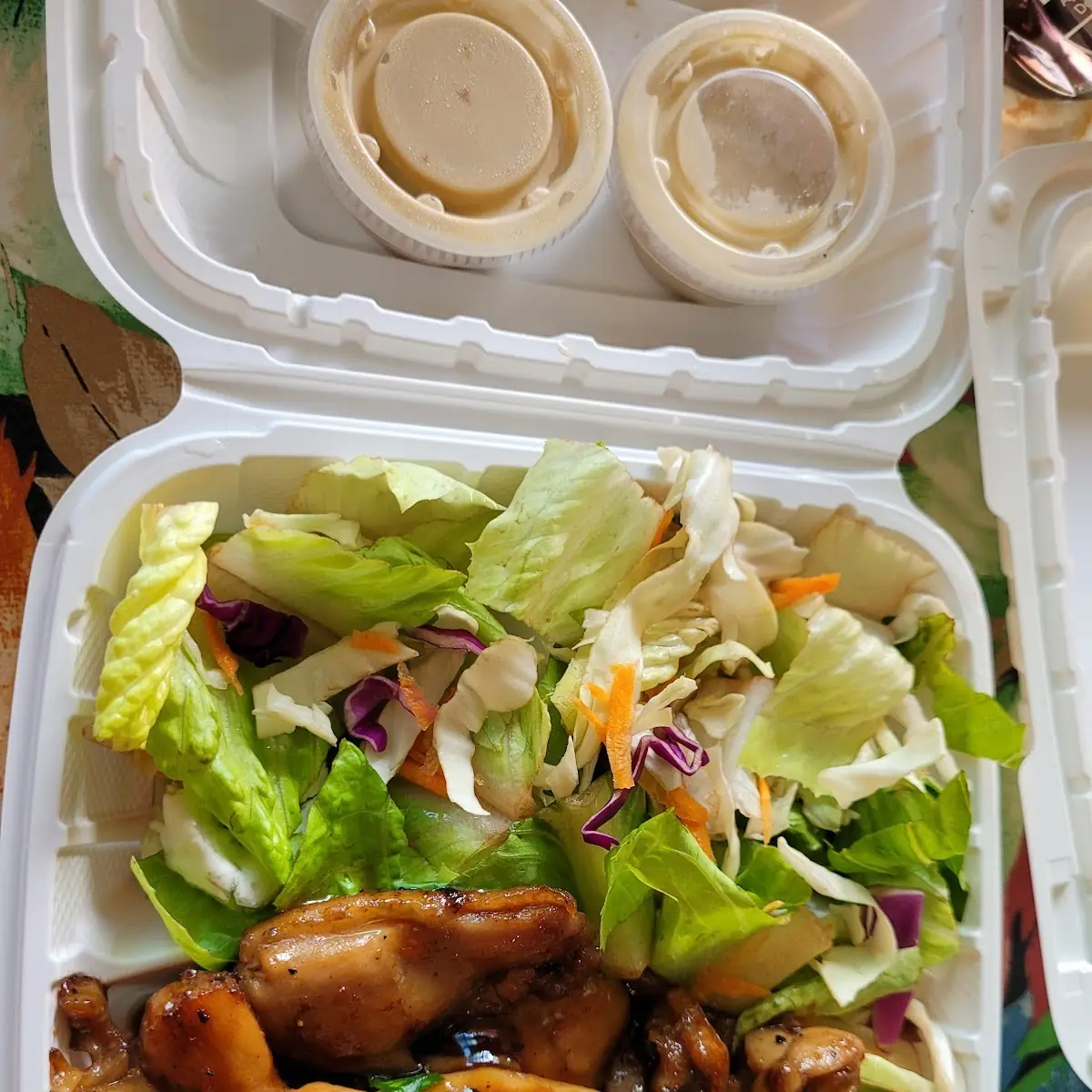 Chicken Teriyaki with Salad