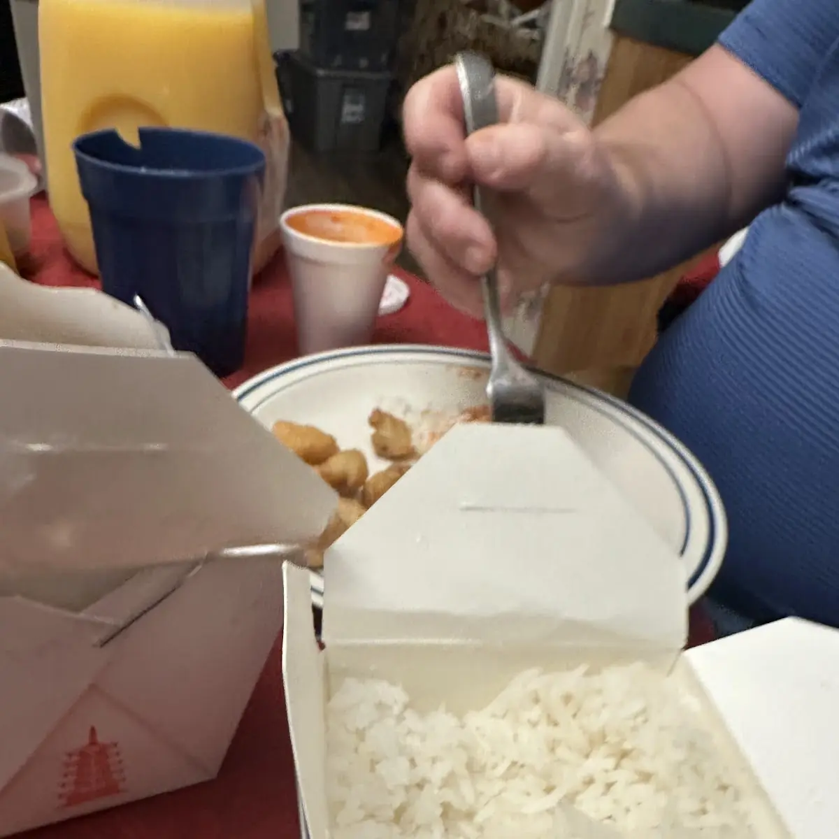Rice Steamed Rice