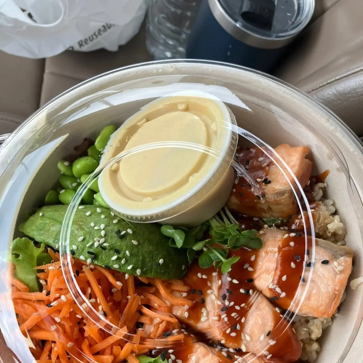Salmon Brown Rice