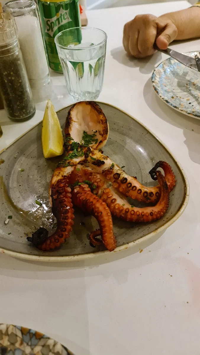 Octopus