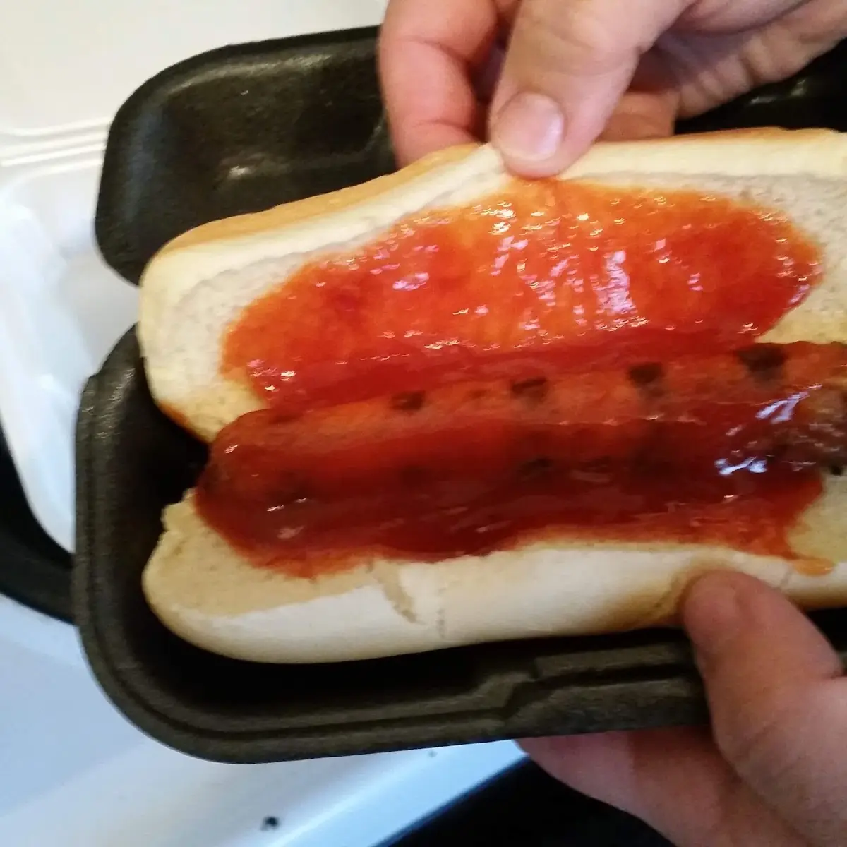 Hot Dog 10x Ketchup