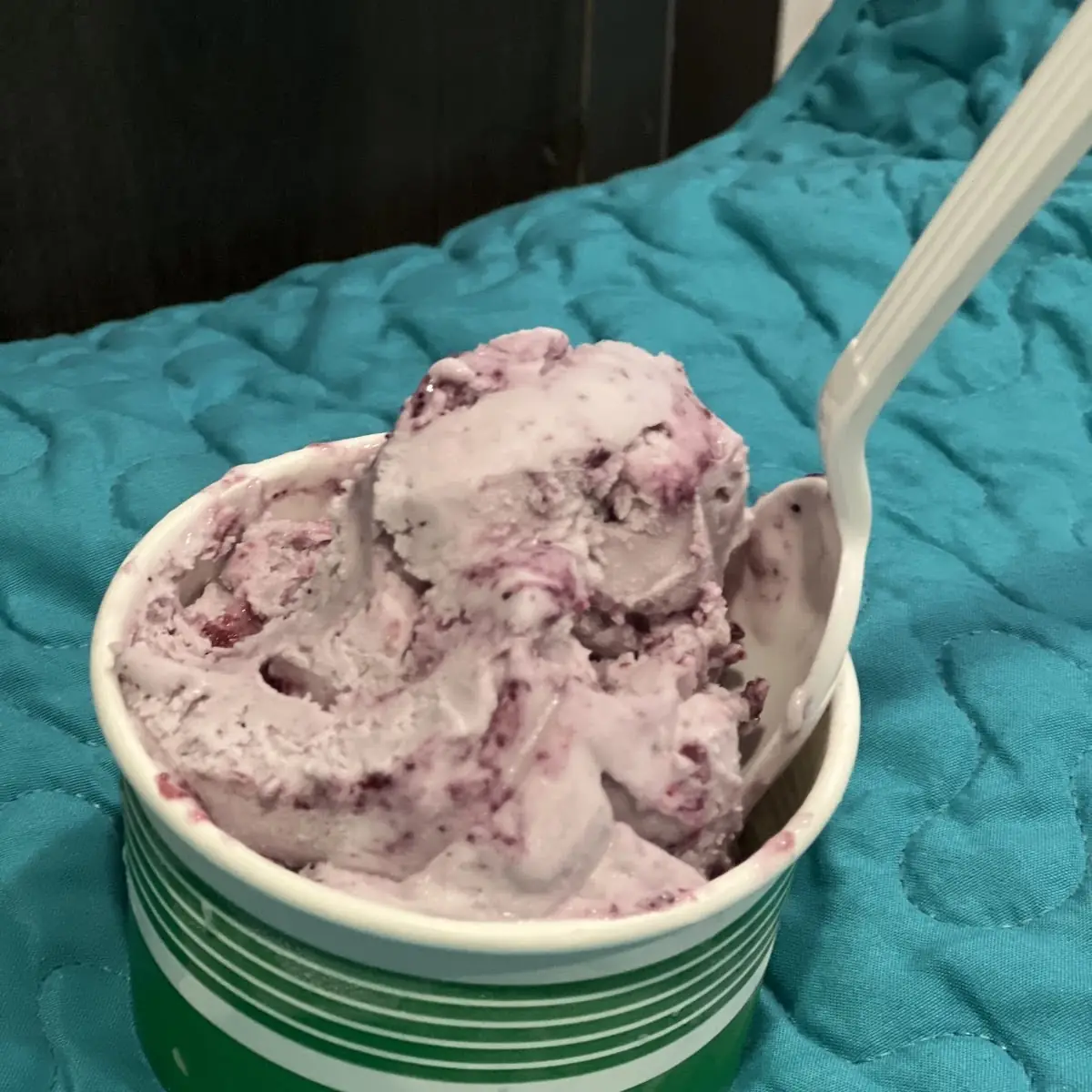 Blue Berry Ice Cream