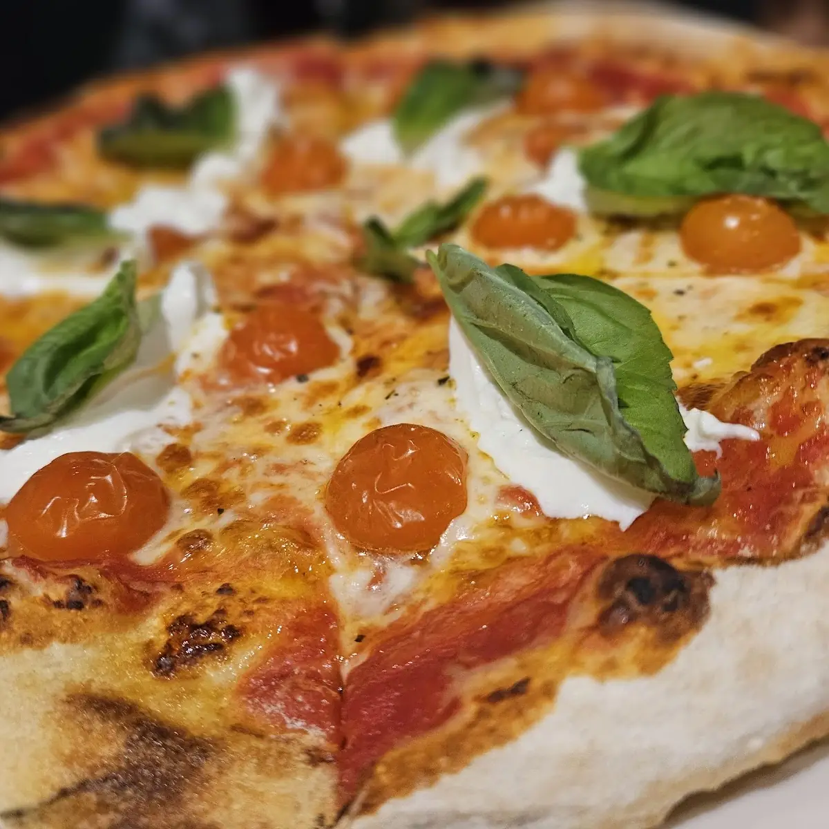 Margherita Pizza