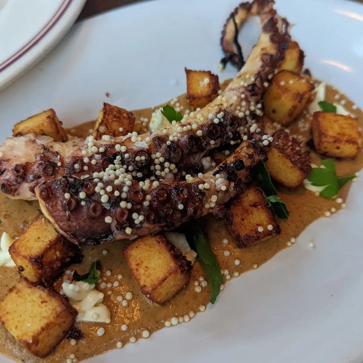 Grilled Octopus