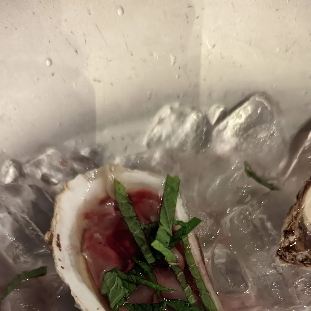 Oysters