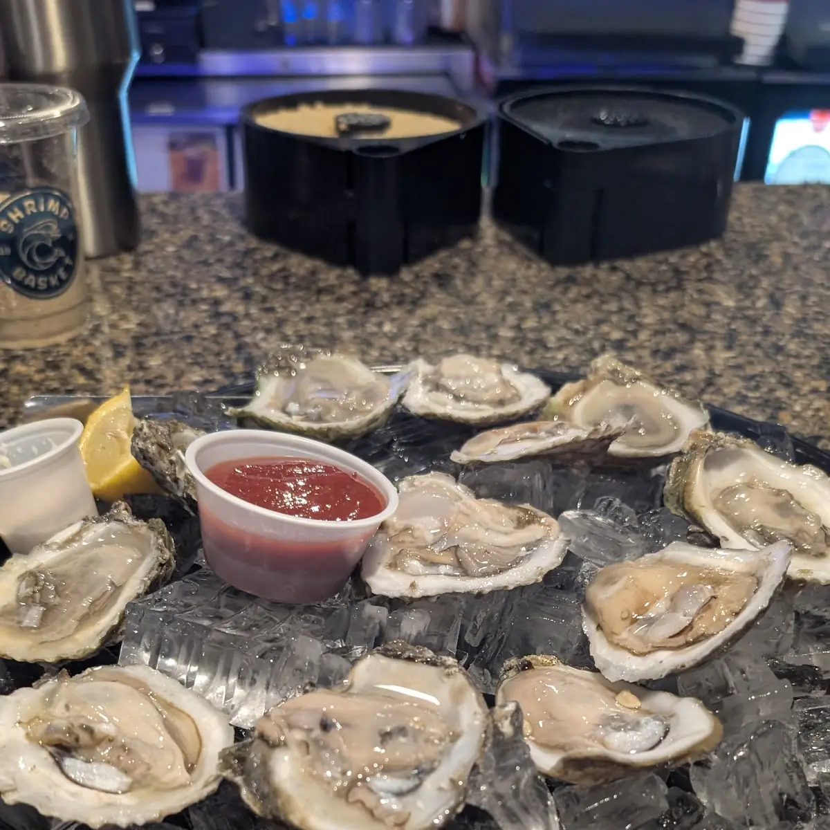 Fresh Gulf Oysters on the Half Shell