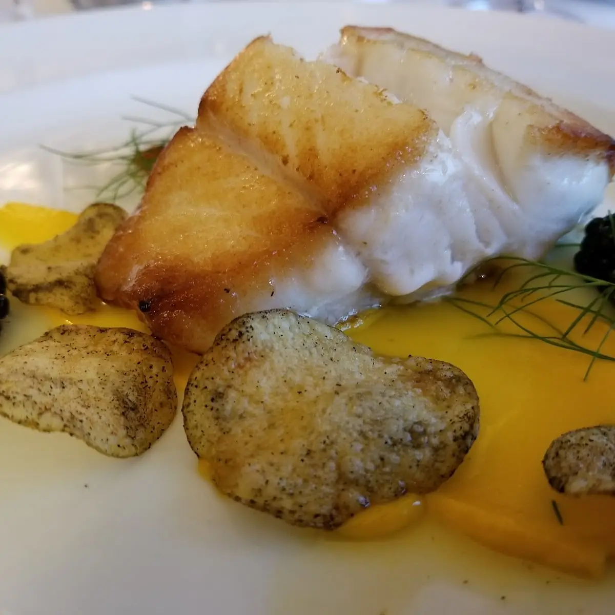 Sea Bass