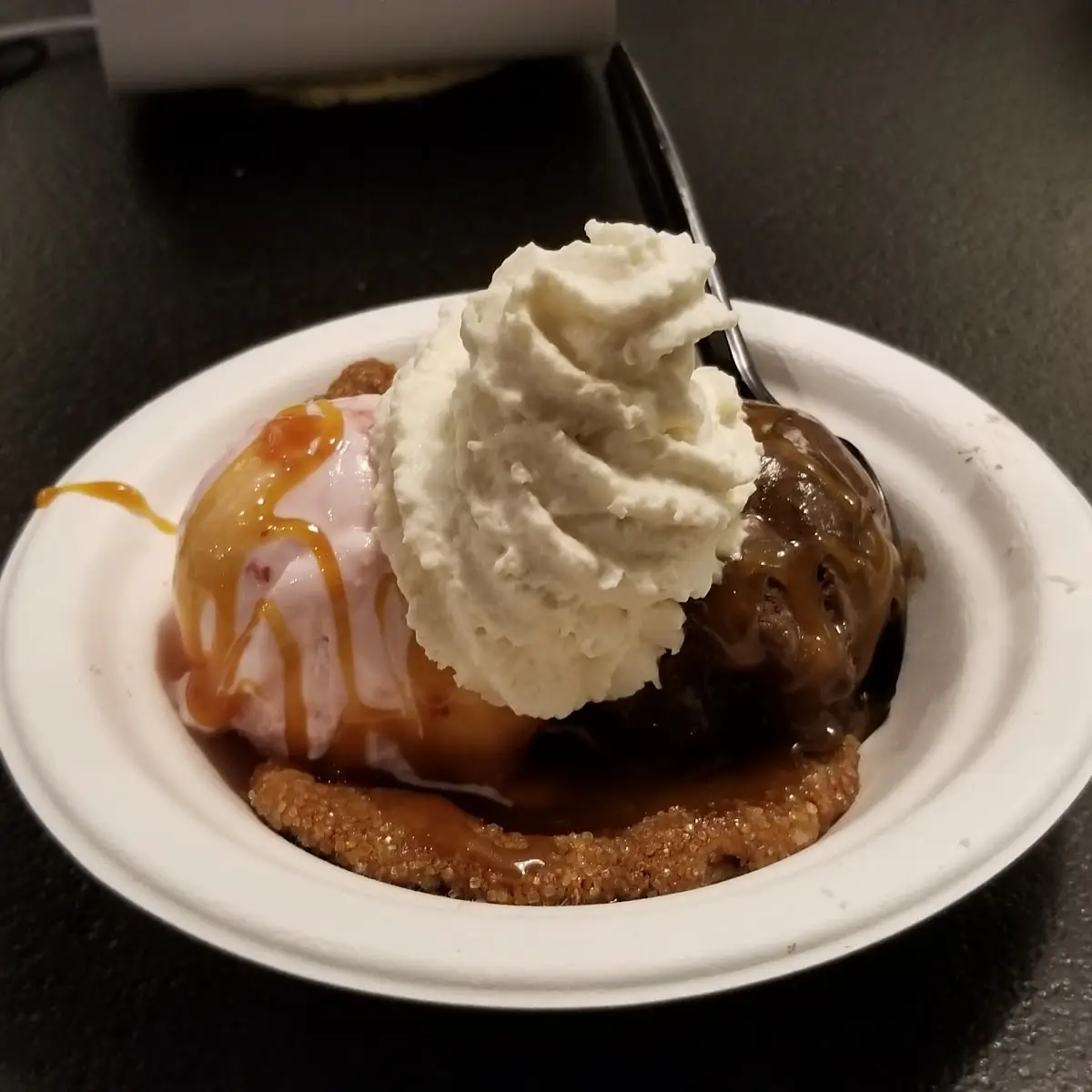 Dark Chocolate Chip Ice Cream Sundae on a Ginger Snap Cookie