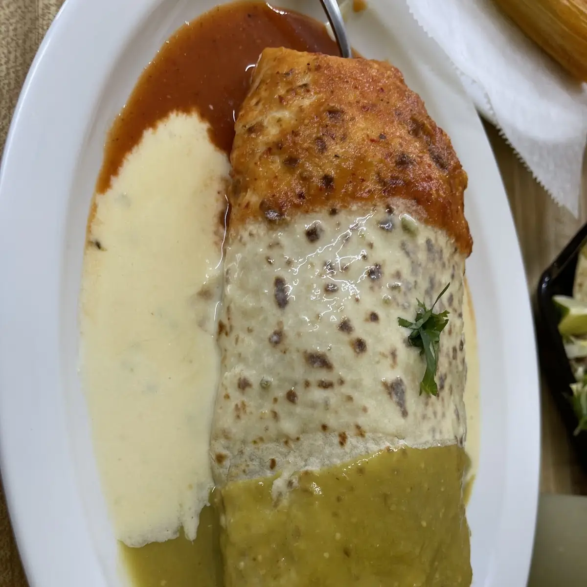 Wet Burrito