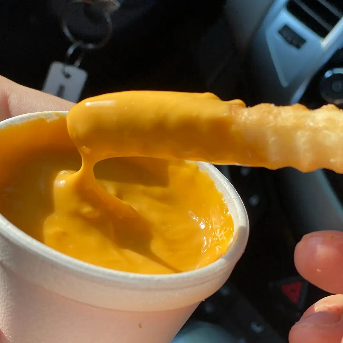 Melted Cheddar Cheese