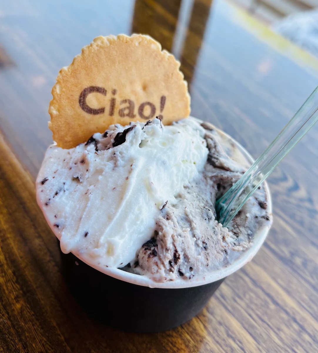 Chocolate Chip