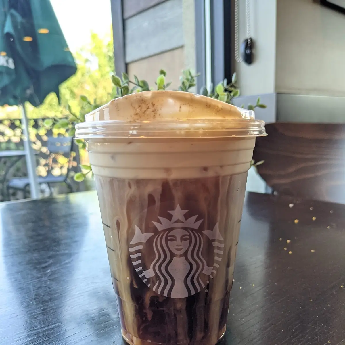 Pumpkin Cream Cold Brew