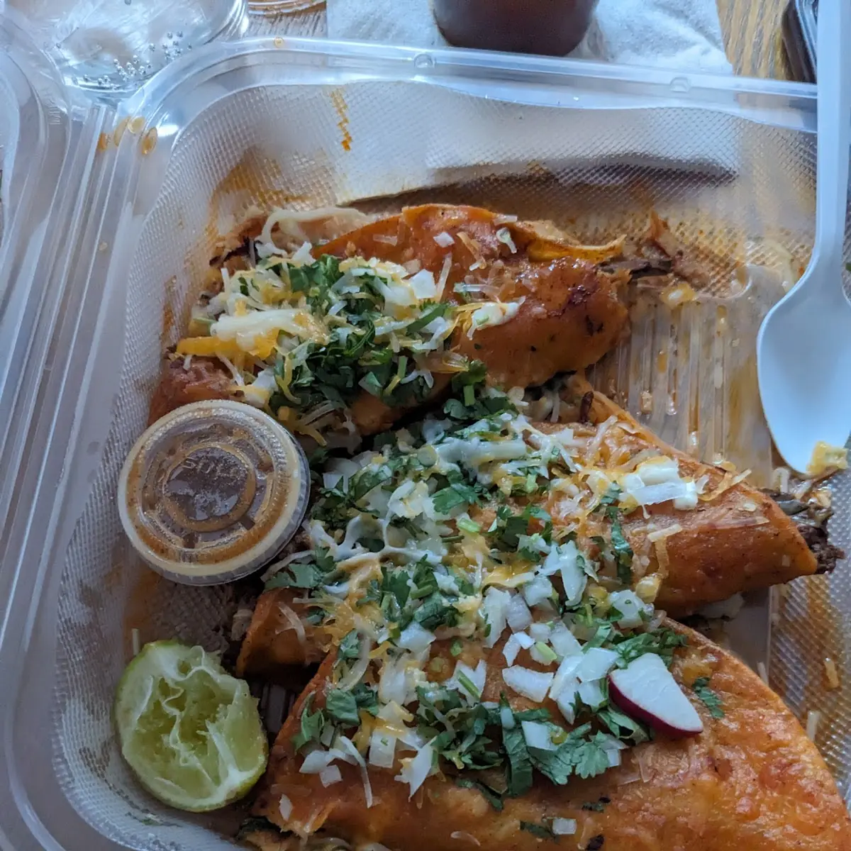 Birria Burrito