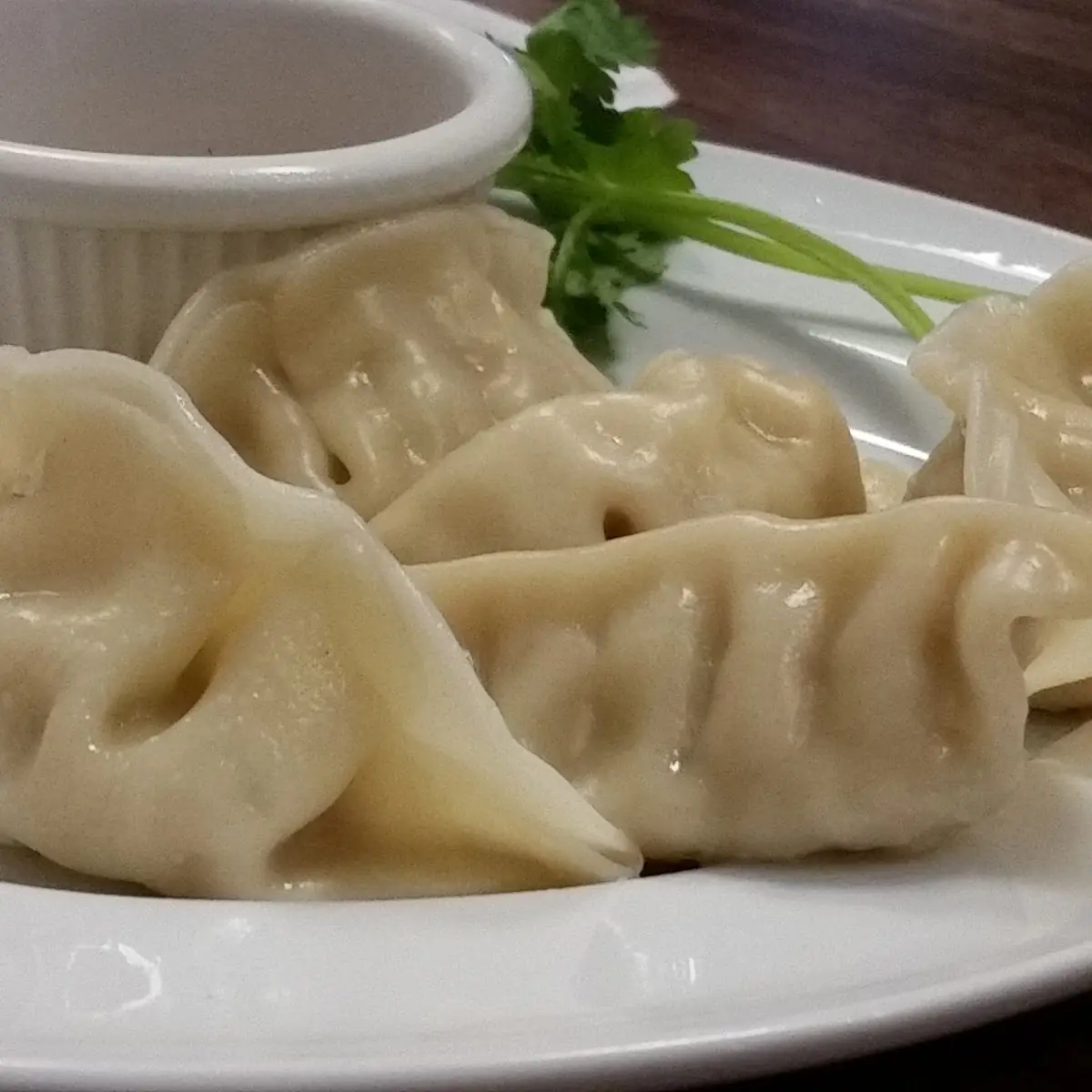 Chicken Dumplings