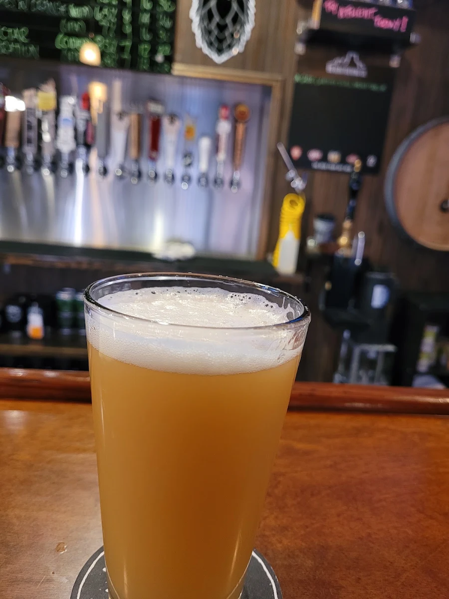 Craft Beer on Bar Counter
