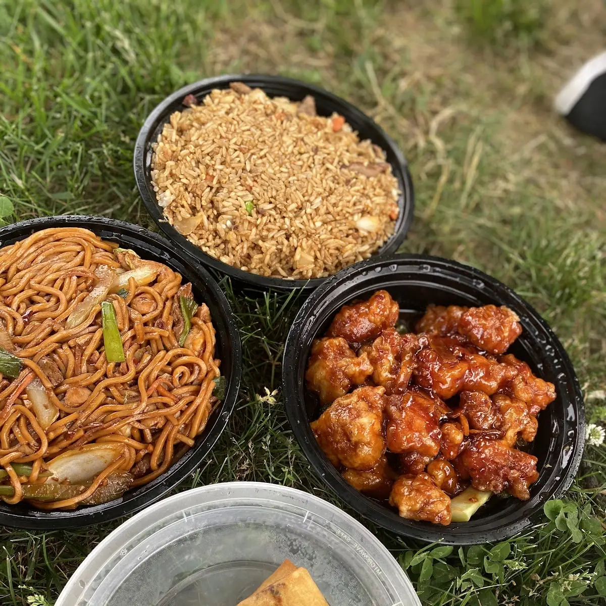 General TSO's Combo