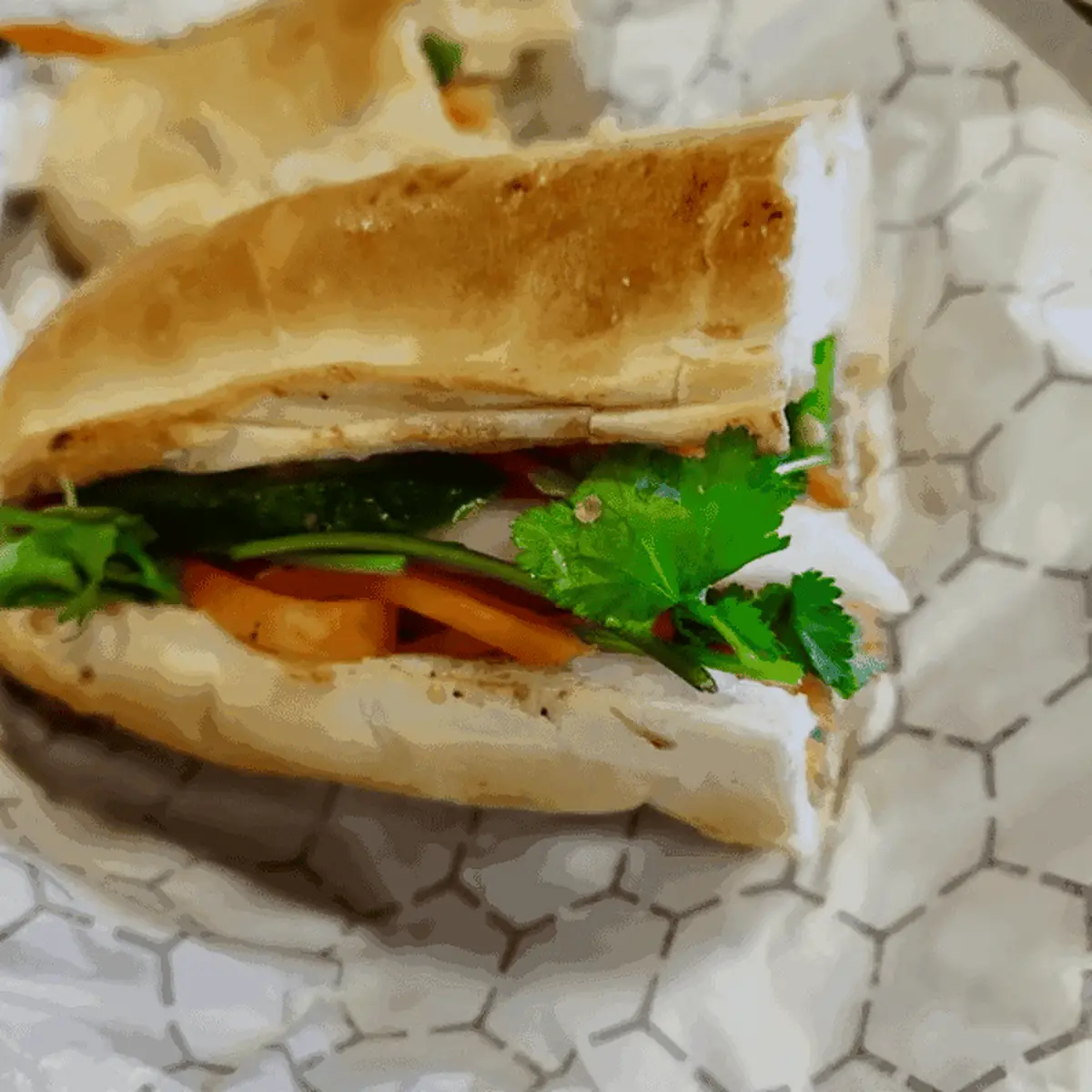 Vietnamese Baguette Sandwich