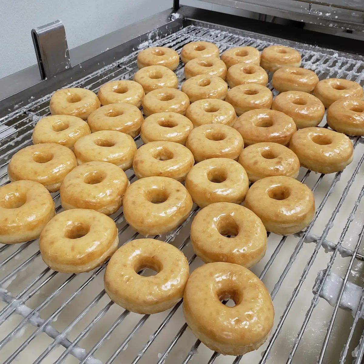 Doughnut