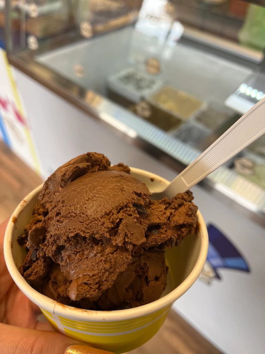 Chocolate Ice Cream