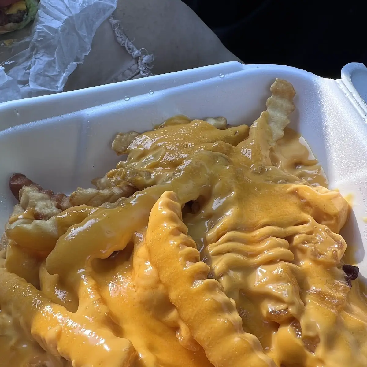 Cheese Fries