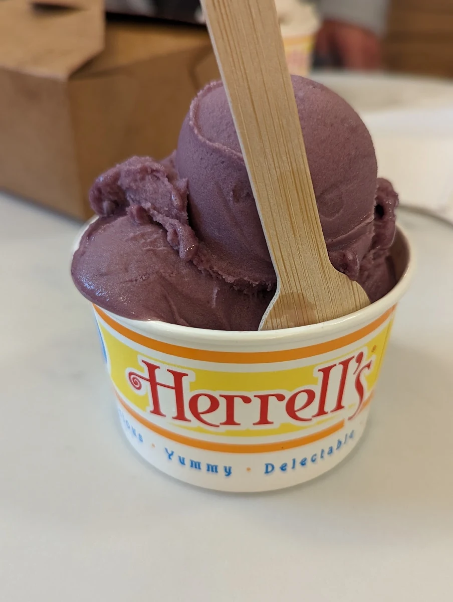 Rum Raisin Ice Cream