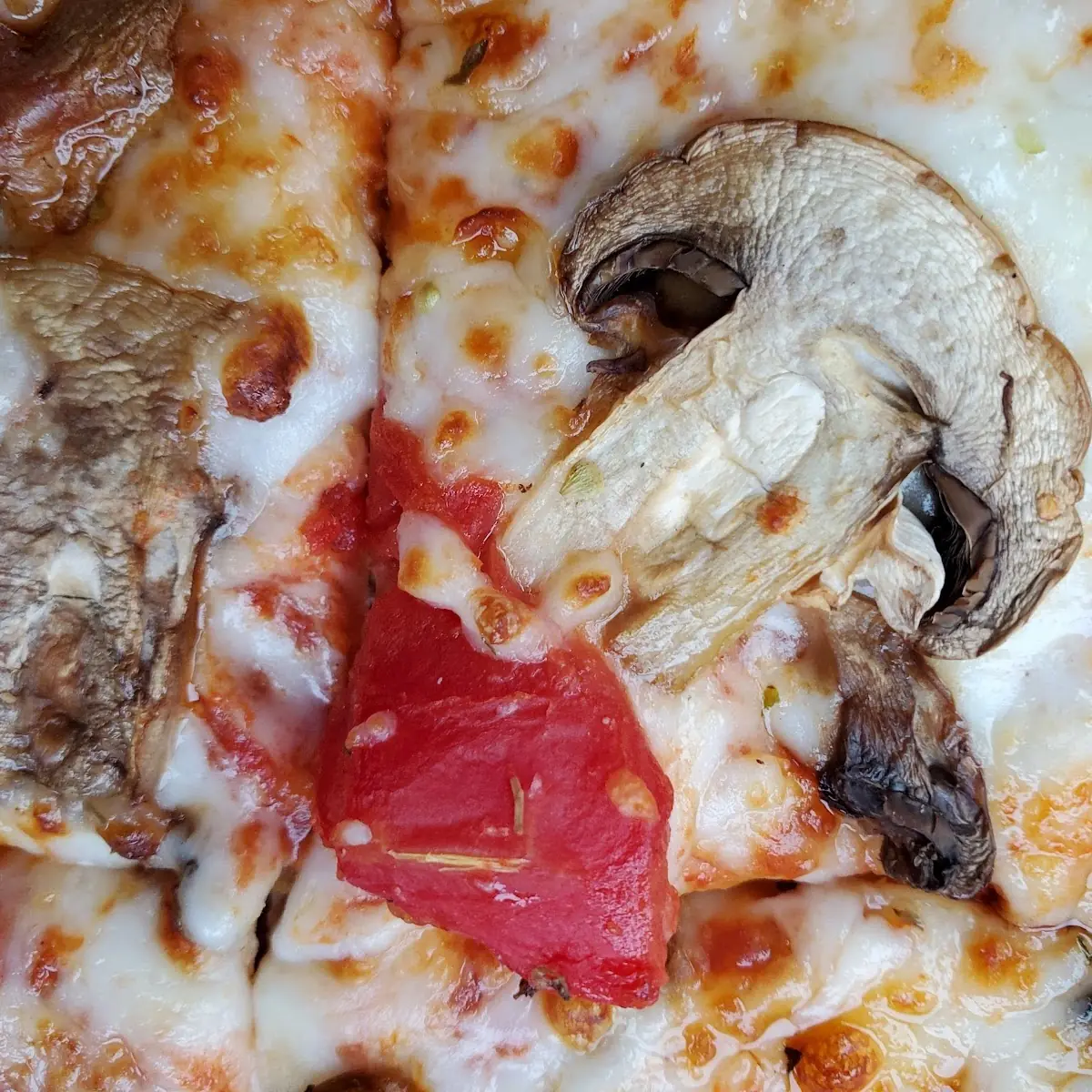 Thin Crust Mushroom Tomato Cheese