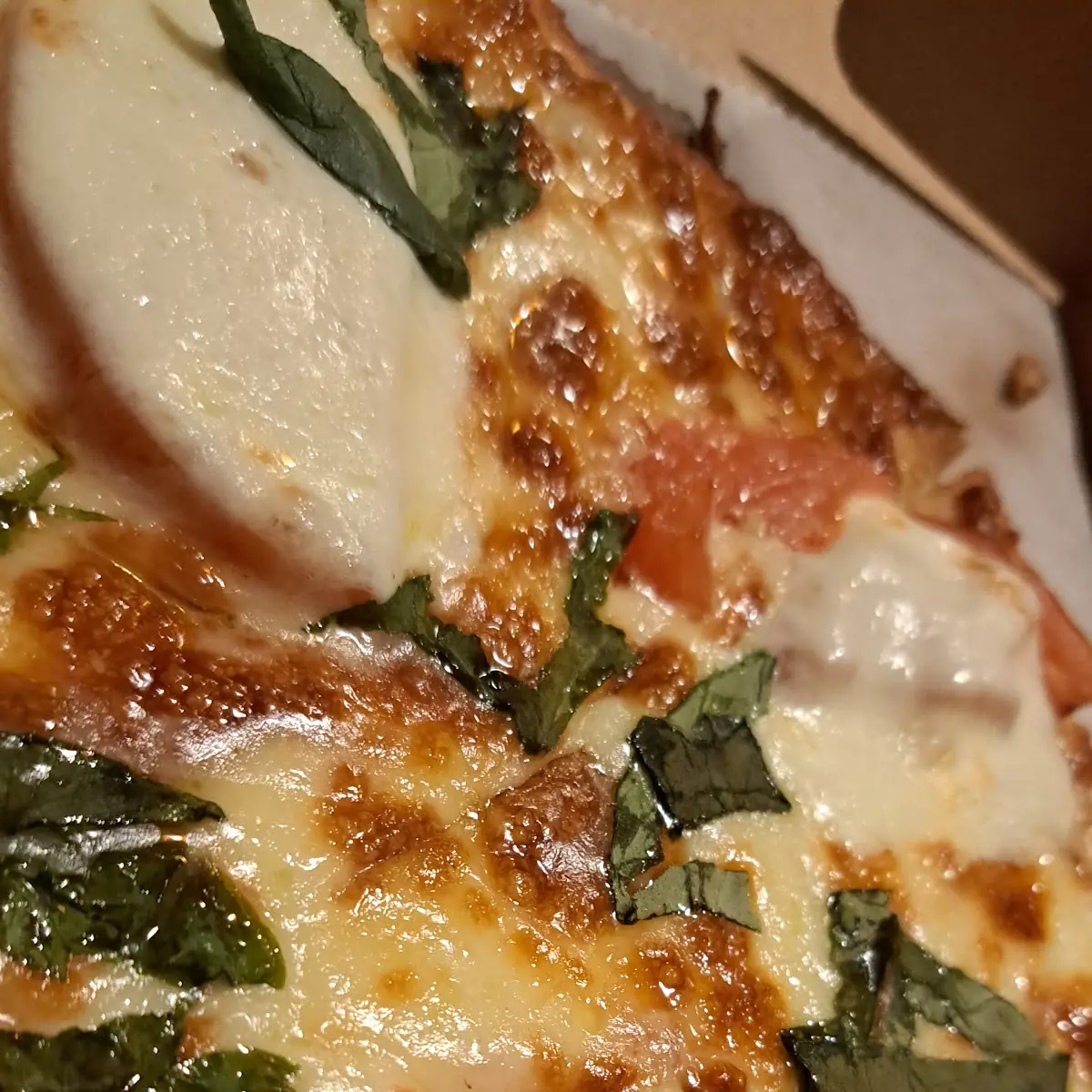 Margherita Pizza