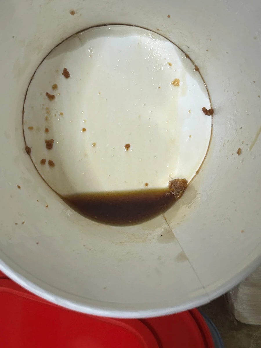 Highlights, KFC