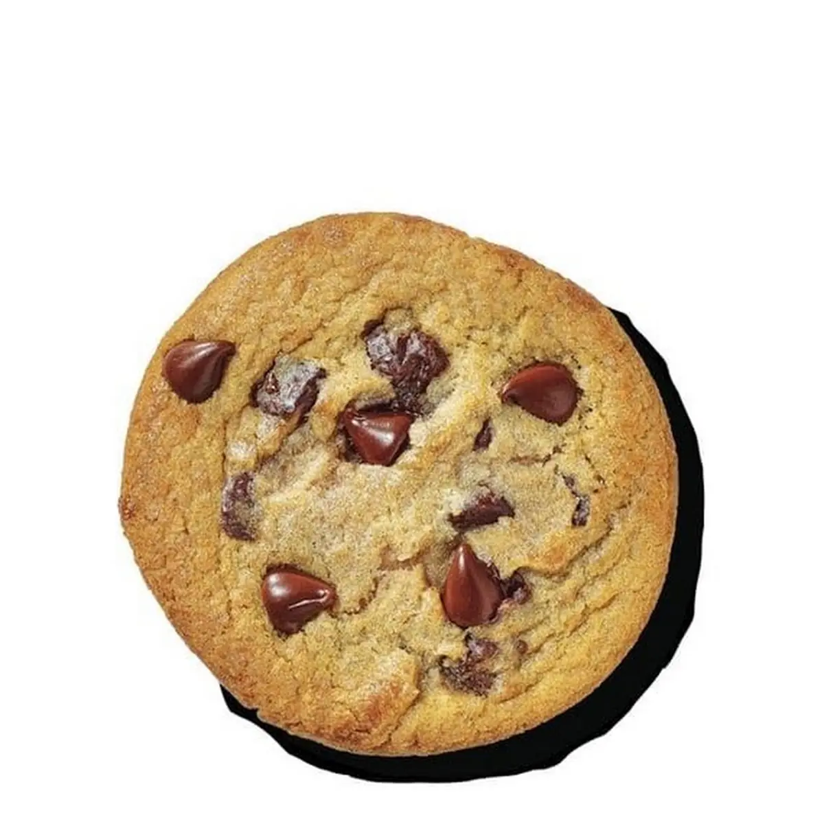 Chocolate Chip Cookie