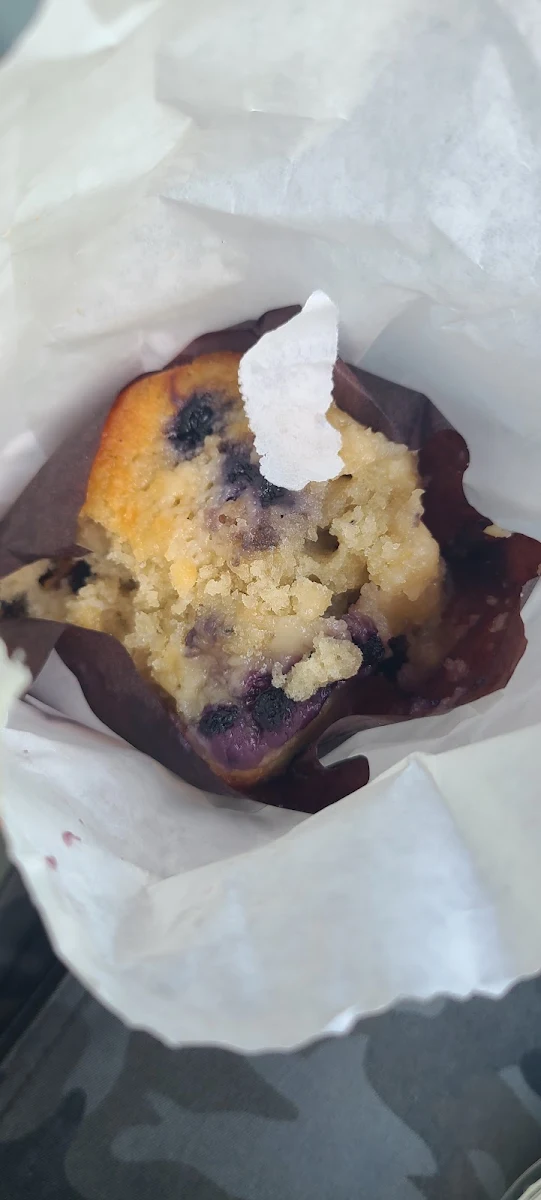 Blueberry Muffin