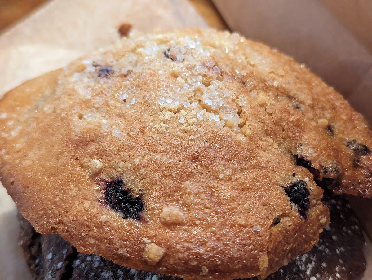 Blueberry Muffin