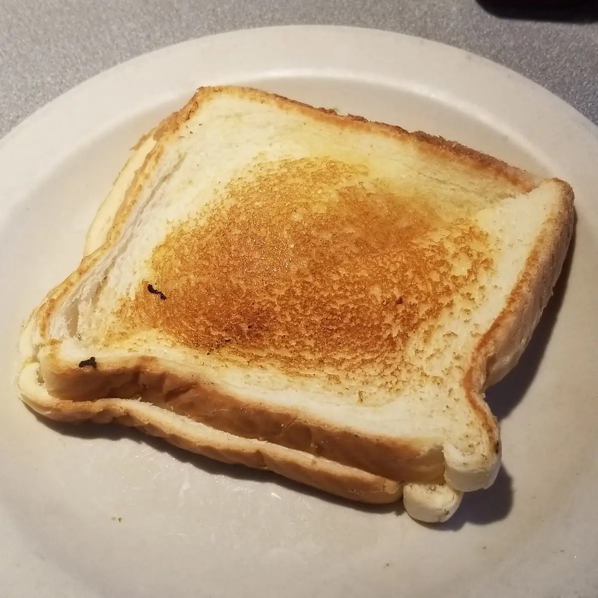 Grilled Cheese Sandwich
