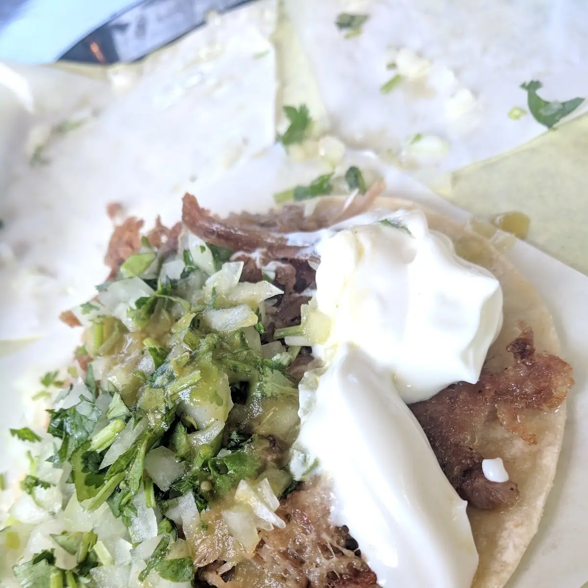 Shredded Beef Burrito