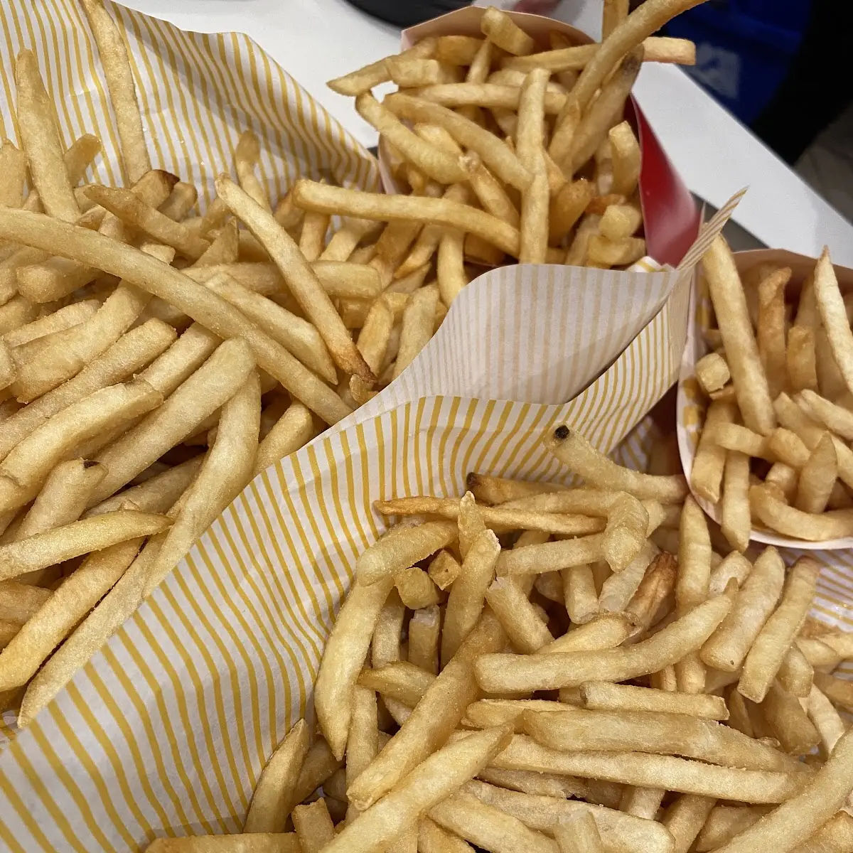 World Famous Fries
