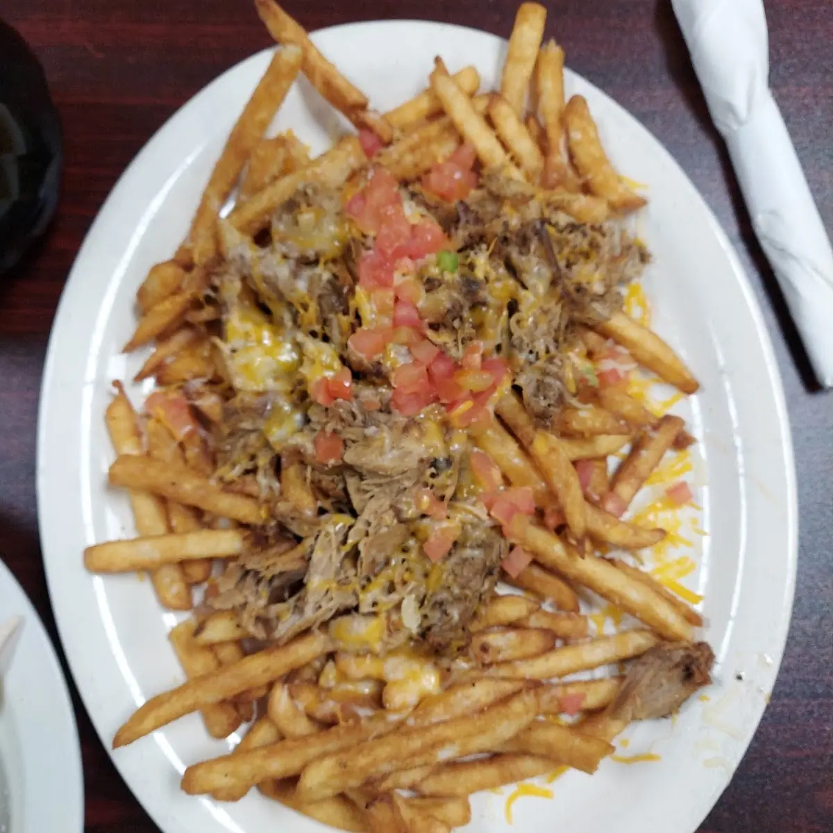 Pulled Pork Cheese Fries