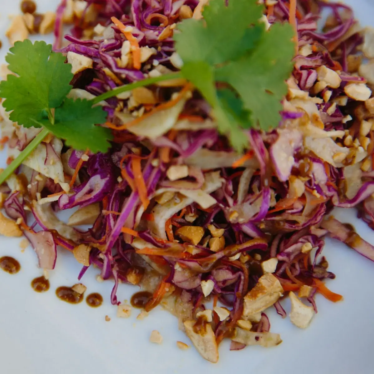 Organic Mung Sprout Salad