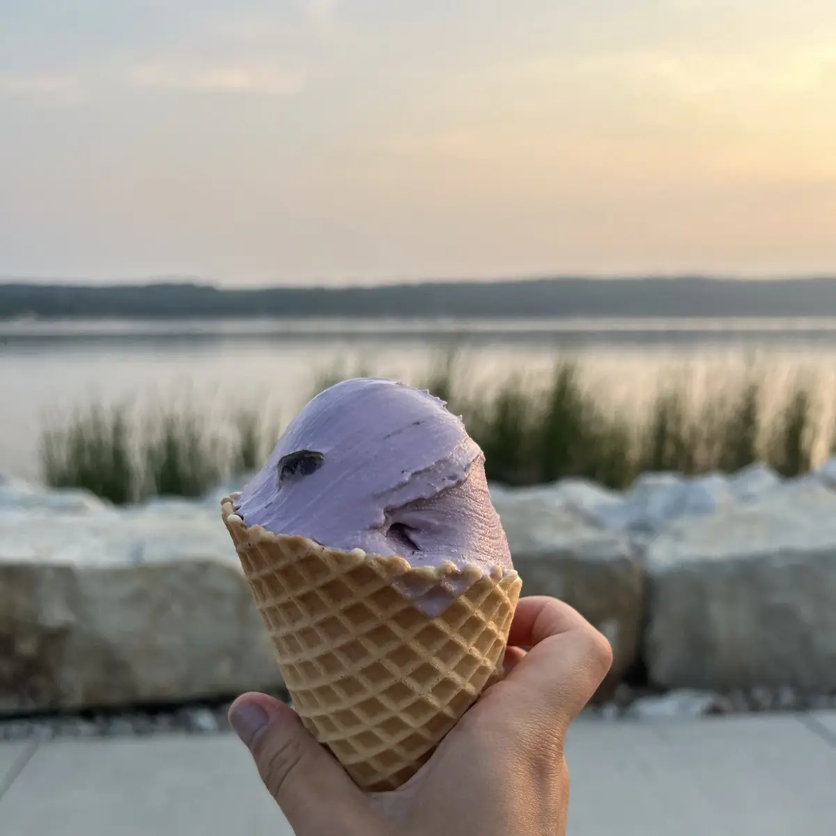 Black Cherry Ice Cream