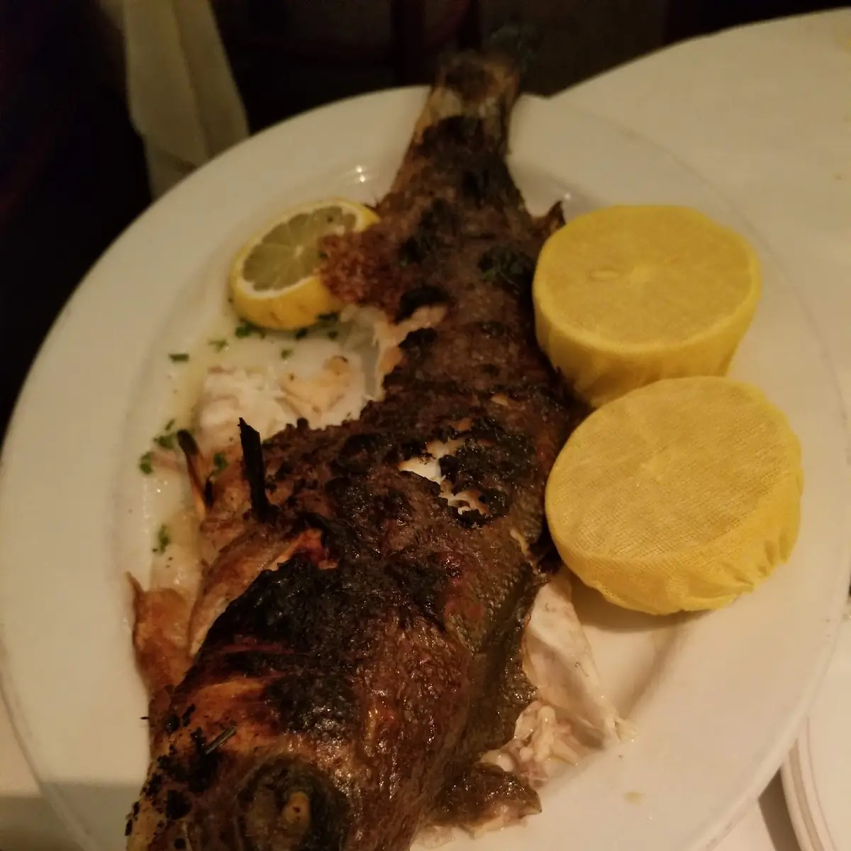 Sea Bass