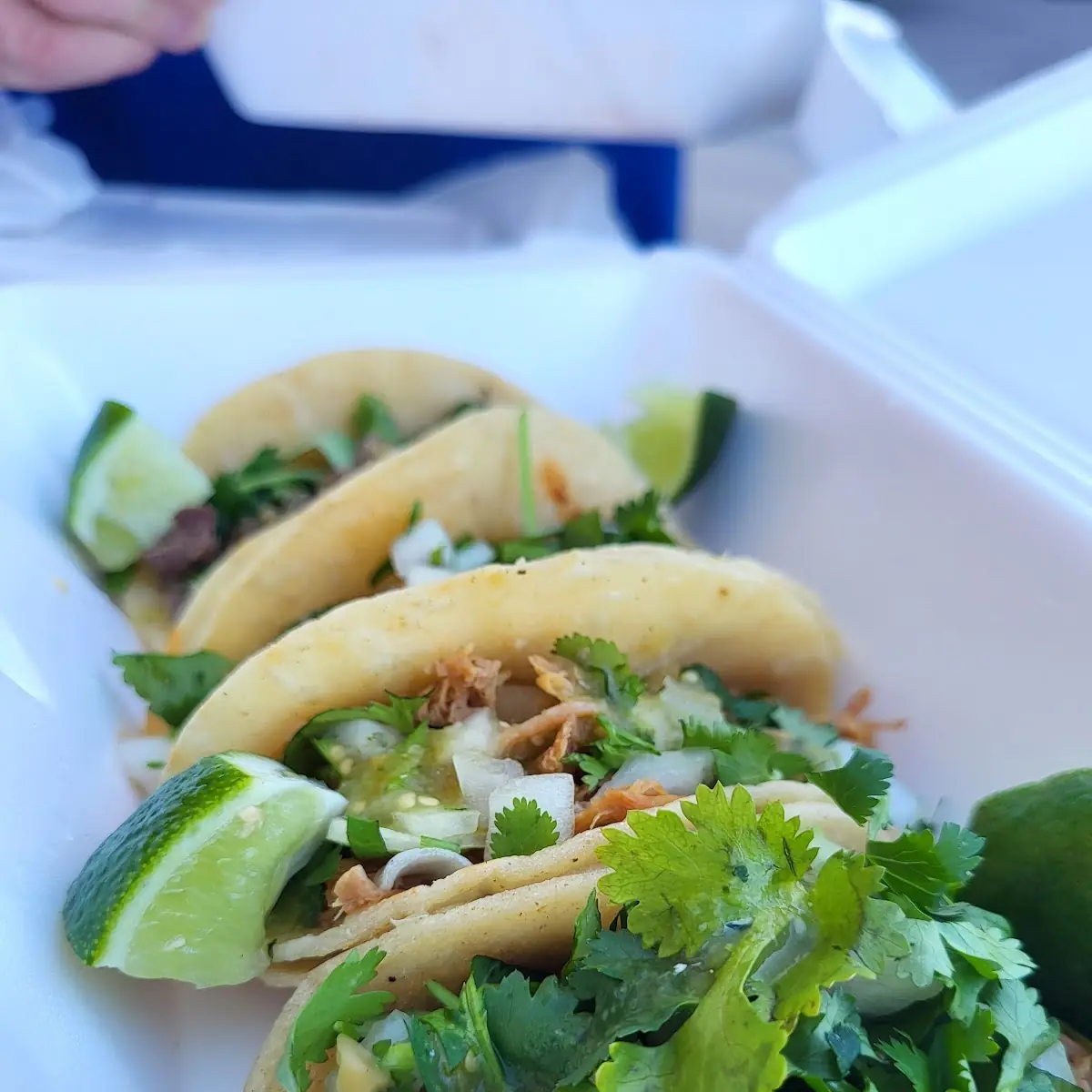Wednesday Pastor Tacos